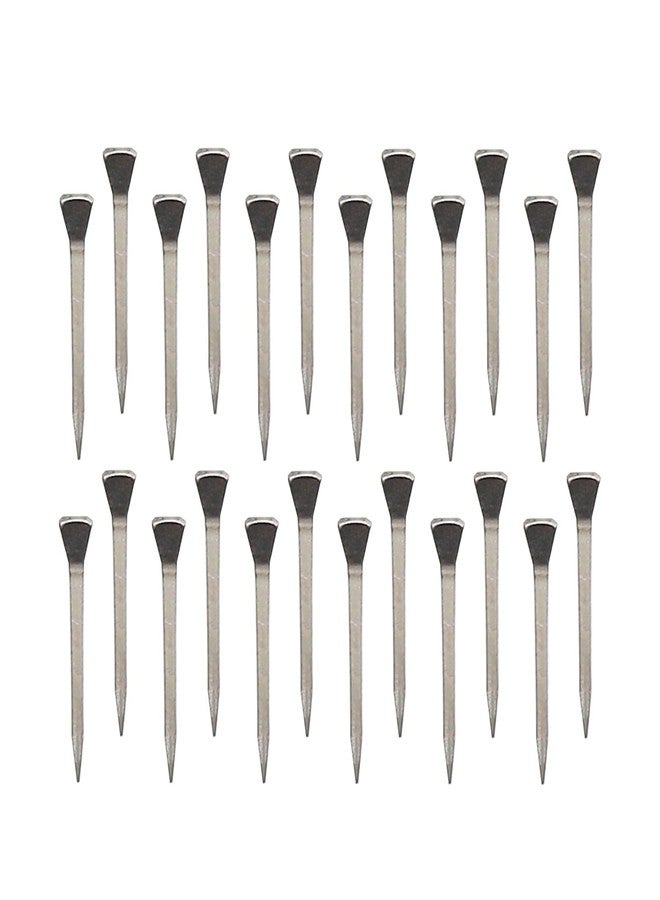 UOIENRT 250Pcs E5 Horseshoe Nails (2 Inch), Stainless Steel Horse Hoof Nails Horseshoe Nails for Securing Firmly - Image 1